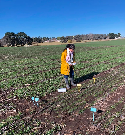 Carolina Pilar Saldivia