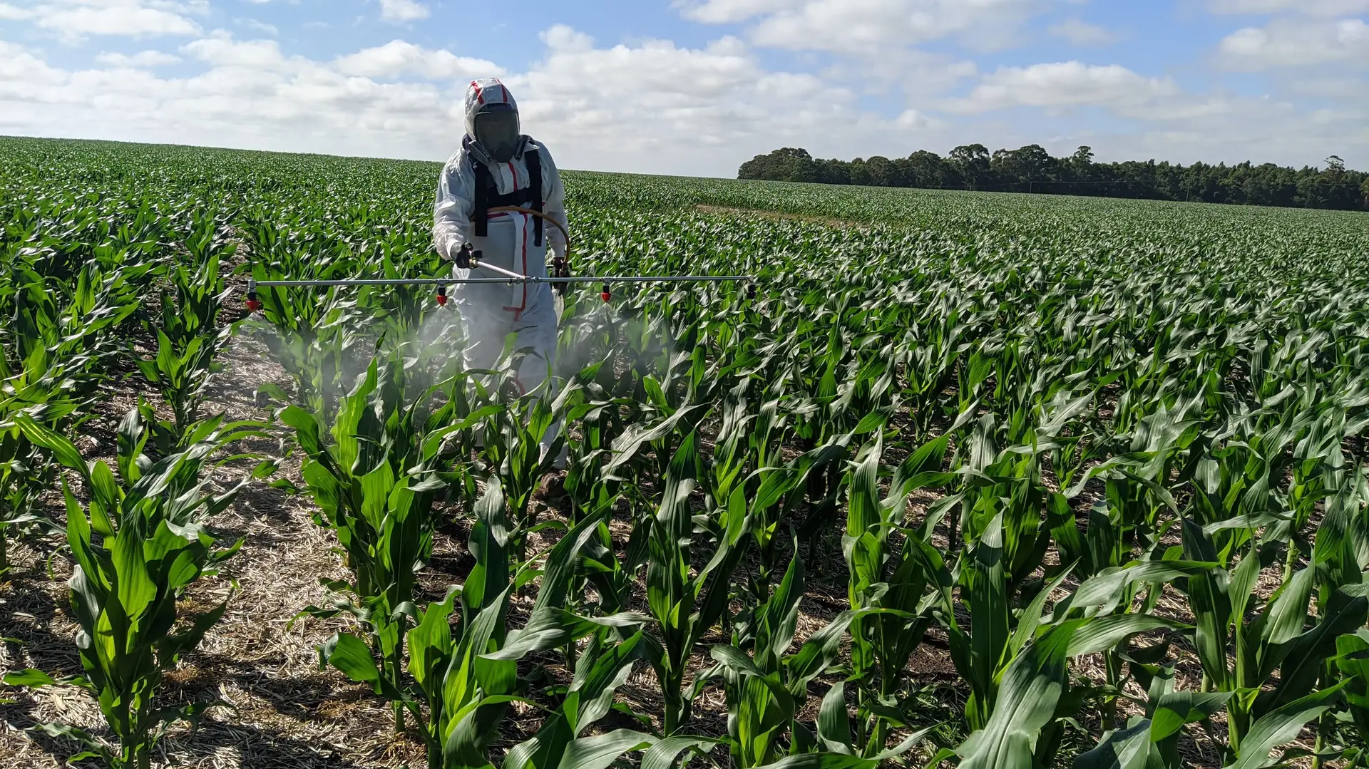 Agronomo y suelo crecido