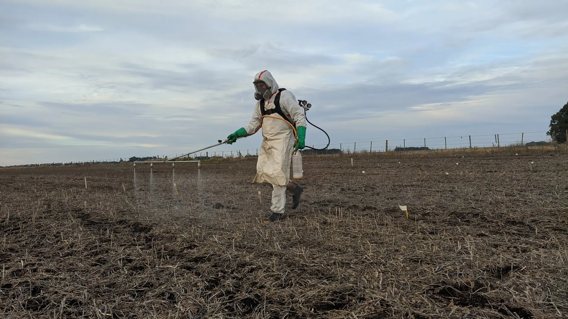 Agronomo y suelo muerto